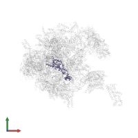 Large ribosomal subunit protein mL44 in PDB entry 7po4, assembly 1, front view.