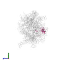 Large ribosomal subunit protein mL45 in PDB entry 7po4, assembly 1, side view.