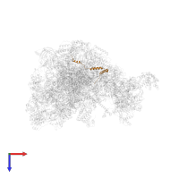 Large ribosomal subunit protein mL63 in PDB entry 7po4, assembly 1, top view.