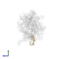 Large ribosomal subunit protein bL12m in PDB entry 7po4, assembly 1, side view.