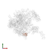 Mitochondrial assembly of ribosomal large subunit protein 1 in PDB entry 7po4, assembly 1, front view.