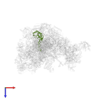 Large ribosomal subunit protein uL4m in PDB entry 7po4, assembly 1, top view.