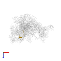 Large ribosomal subunit protein bL9m in PDB entry 7po4, assembly 1, top view.