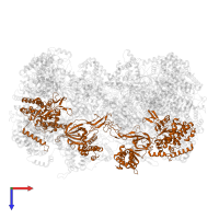 DNA replication licensing factor MCM2 in PDB entry 7pt7, assembly 1, top view.