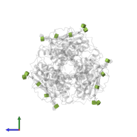 2-acetamido-2-deoxy-beta-D-glucopyranose in PDB entry 7puy, assembly 1, side view.