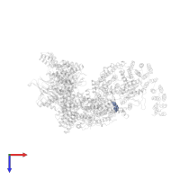 ADENOSINE-5'-TRIPHOSPHATE in PDB entry 7pw5, assembly 1, top view.