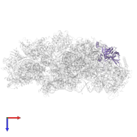 40S ribosomal protein S4 in PDB entry 7pwf, assembly 1, top view.