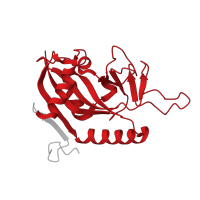 The deposited structure of PDB entry 7pws contains 2 copies of Pfam domain PF00644 (Poly(ADP-ribose) polymerase catalytic domain) in Protein mono-ADP-ribosyltransferase PARP15. Showing 1 copy in chain B.