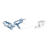 The deposited structure of PDB entry 7py3 contains 2 copies of Pfam domain PF01193 (RNA polymerase Rpb3/Rpb11 dimerisation domain) in DNA-directed RNA polymerase subunit alpha. Showing 1 copy in chain B.