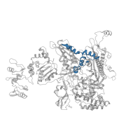 The deposited structure of PDB entry 7py3 contains 1 copy of Pfam domain PF04560 (RNA polymerase Rpb2, domain 7) in DNA-directed RNA polymerase subunit beta. Showing 1 copy in chain C.