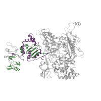 The deposited structure of PDB entry 7py3 contains 2 copies of Pfam domain PF04561 (RNA polymerase Rpb2, domain 2) in DNA-directed RNA polymerase subunit beta. Showing 2 copies in chain C.