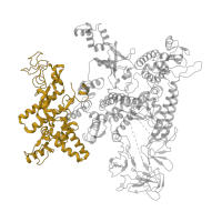 The deposited structure of PDB entry 7py3 contains 1 copy of Pfam domain PF04997 (RNA polymerase Rpb1, domain 1) in DNA-directed RNA polymerase subunit beta'. Showing 1 copy in chain D.