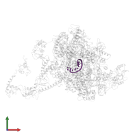 RNA in PDB entry 7py3, assembly 1, front view.