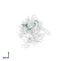 ntDNA in PDB entry 7py6, assembly 1, side view.