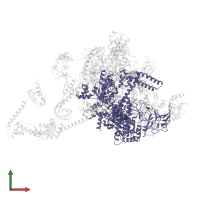 DNA-directed RNA polymerase subunit beta' in PDB entry 7pyj, assembly 1, front view.