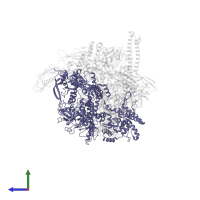 DNA-directed RNA polymerase subunit beta' in PDB entry 7pyj, assembly 1, side view.