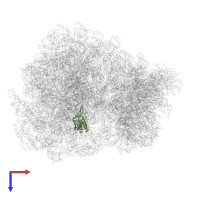 Large ribosomal subunit protein uL16 in PDB entry 7q0p, assembly 1, top view.