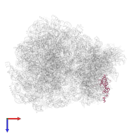 Small ribosomal subunit protein uS4 in PDB entry 7q0p, assembly 1, top view.