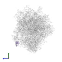 Small ribosomal subunit protein eS12 in PDB entry 7q0p, assembly 1, side view.