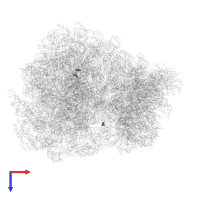 Modified residue MLZ in PDB entry 7q0p, assembly 1, top view.