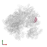 Small ribosomal subunit protein uS4 in PDB entry 7q0r, assembly 1, front view.