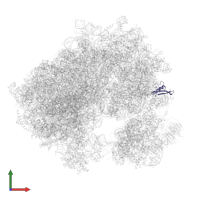 Small ribosomal subunit protein eS21 in PDB entry 7q0r, assembly 1, front view.