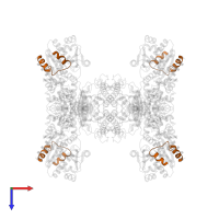 Glycogenin-1 in PDB entry 7q12, assembly 1, top view.