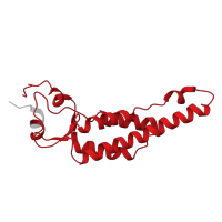 The deposited structure of PDB entry 7q2q contains 1 copy of Pfam domain PF00721 (Virus coat protein (TMV like)) in Capsid protein. Showing 1 copy in chain A.