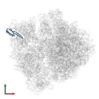 Small ribosomal subunit protein uS10 in PDB entry 7q4k, assembly 1, front view.