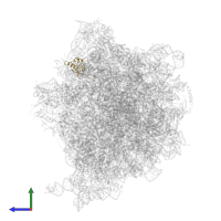 Small ribosomal subunit protein uS19 in PDB entry 7q4k, assembly 1, side view.