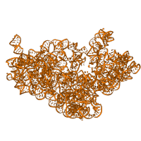 The deposited structure of PDB entry 7qh4 contains 1 copy of Rfam domain RF00177 (Bacterial small subunit ribosomal RNA) in 16S ribosomal RNA. Showing 1 copy in chain EA [auth W].