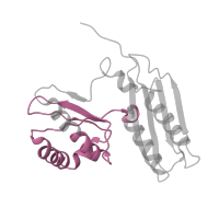 The deposited structure of PDB entry 7qh4 contains 1 copy of Pfam domain PF07650 (KH domain) in Small ribosomal subunit protein uS3. Showing 1 copy in chain GA [auth g].