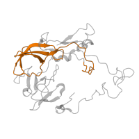 The deposited structure of PDB entry 7qh4 contains 1 copy of Pfam domain PF00181 (Ribosomal Proteins L2, RNA binding domain) in Large ribosomal subunit protein uL2. Showing 1 copy in chain C.