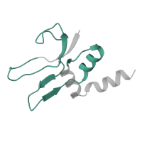 The deposited structure of PDB entry 7qh4 contains 1 copy of Pfam domain PF00886 (Ribosomal protein S16) in Small ribosomal subunit protein bS16. Showing 1 copy in chain TA [auth t].