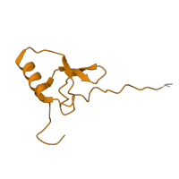 The deposited structure of PDB entry 7qh4 contains 1 copy of Pfam domain PF00203 (Ribosomal protein S19) in Small ribosomal subunit protein uS19. Showing 1 copy in chain WA [auth w].