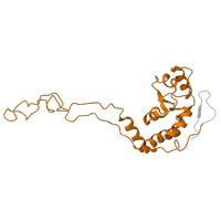 The deposited structure of PDB entry 7qh4 contains 1 copy of Pfam domain PF00573 (Ribosomal protein L4/L1 family) in Large ribosomal subunit protein uL4. Showing 1 copy in chain E.