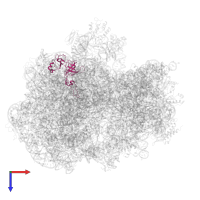 Large ribosomal subunit protein uL3 in PDB entry 7qh4, assembly 1, top view.