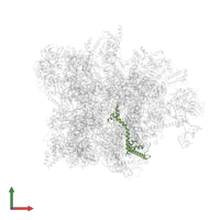 Large ribosomal subunit protein bL20m in PDB entry 7qh7, assembly 1, front view.