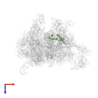 Large ribosomal subunit protein bL20m in PDB entry 7qh7, assembly 1, top view.