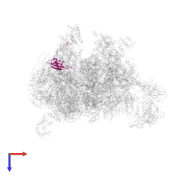 Large ribosomal subunit protein uL23m in PDB entry 7qh7, assembly 1, top view.