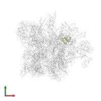 Large ribosomal subunit protein bL35m in PDB entry 7qh7, assembly 1, front view.