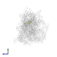 Large ribosomal subunit protein bL35m in PDB entry 7qh7, assembly 1, side view.