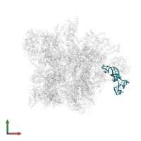 mitochondrial tRNAVal in PDB entry 7qh7, assembly 1, front view.