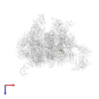 Large ribosomal subunit protein uL10m in PDB entry 7qh7, assembly 1, top view.