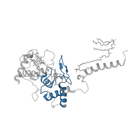 The deposited structure of PDB entry 7qho contains 2 copies of Pfam domain PF13442 (Cytochrome C oxidase, cbb3-type, subunit III) in Cytochrome bc1 complex cytochrome c subunit. Showing 1 copy in chain C.
