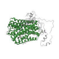 The deposited structure of PDB entry 7qho contains 2 copies of Pfam domain PF00115 (Cytochrome C and Quinol oxidase polypeptide I) in Cytochrome c oxidase subunit 1. Showing 1 copy in chain D.