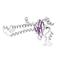 The deposited structure of PDB entry 7qho contains 2 copies of Pfam domain PF00116 (Cytochrome C oxidase subunit II, periplasmic domain) in Cytochrome c oxidase subunit 2. Showing 1 copy in chain E.