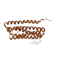 The deposited structure of PDB entry 7qho contains 2 copies of Pfam domain PF00510 (Cytochrome c oxidase subunit III) in Cytochrome c oxidase subunit 3. Showing 1 copy in chain F.