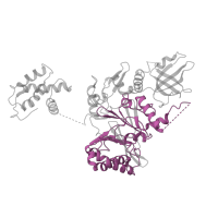 The deposited structure of PDB entry 7qhs contains 1 copy of Pfam domain PF04042 (DNA polymerase alpha/epsilon subunit B) in DNA polymerase epsilon subunit B. Showing 1 copy in chain K [auth F].