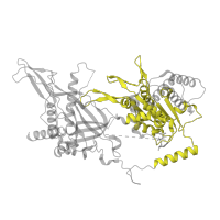 The deposited structure of PDB entry 7qhs contains 1 copy of Pfam domain PF00493 (MCM P-loop domain) in DNA replication licensing factor MCM3. Showing 1 copy in chain B [auth 3].